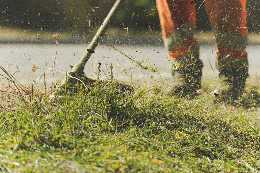 String trimmer cutting grass along the edge of a lawn